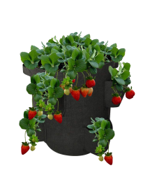 Sac planteur pour fraisiers et salades